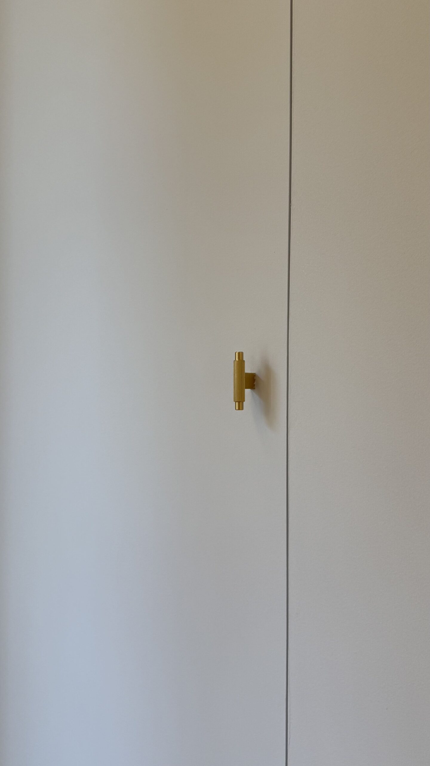Puerta lisa con pomo dorado